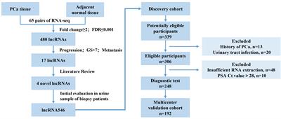 Evaluation and multi-institutional validation of a novel urine biomarker lncRNA546 to improve the diagnostic specificity of prostate cancer in PSA gray-zone